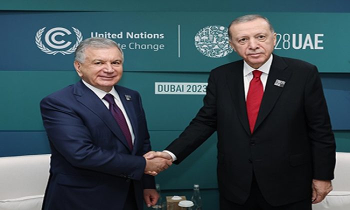 Cumhurbaşkanı Erdoğan, Özbekistan Cumhurbaşkanı Mirziyoyev ile bir araya geldi