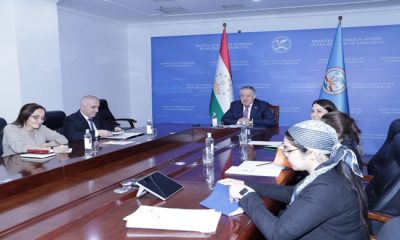 Online Meeting of the Minister of Foreign Affairs with the UNESCO Assistant Director-General for Natural Sciences