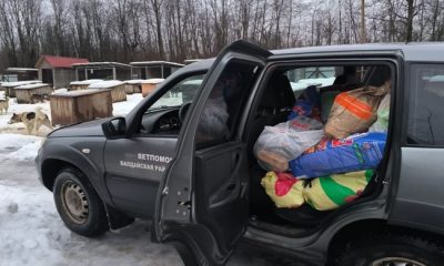 Birleşik Rusya, Novgorod bölgesindeki altı hayvan barınağına yaklaşık iki ton yiyecek bağışladı