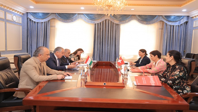Dışişleri Bakanı’nın İsviçre İşbirliği Ofisi liderleriyle görüşmesi
